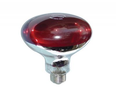 bóng đèn hồng ngoai