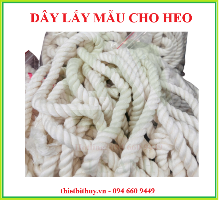 Mẫu dây nhai lấy mẫu - Dây lấy dịch miệng ở heo - Thiết bị thú y lê anh